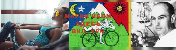 гашиш Богданович
