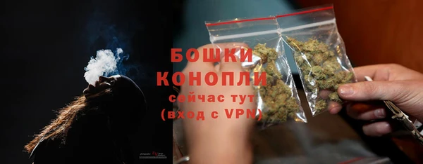 гашиш Богданович