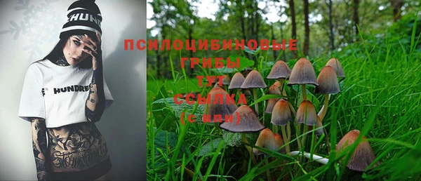 спайс Богородицк