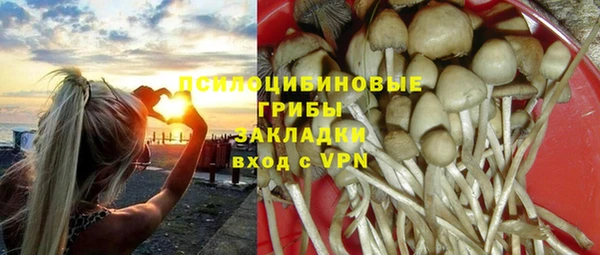 гашиш Богданович