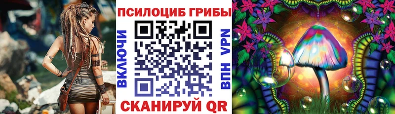 Псилоцибиновые грибы Magic Shrooms  Томск 